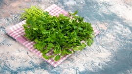 Cilantro benefits, heavy metal detox, Cilantro detox for lead, mercury,