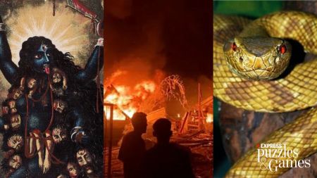 indian express news quiz rafah romani kali snakes ipl kkr for may 27