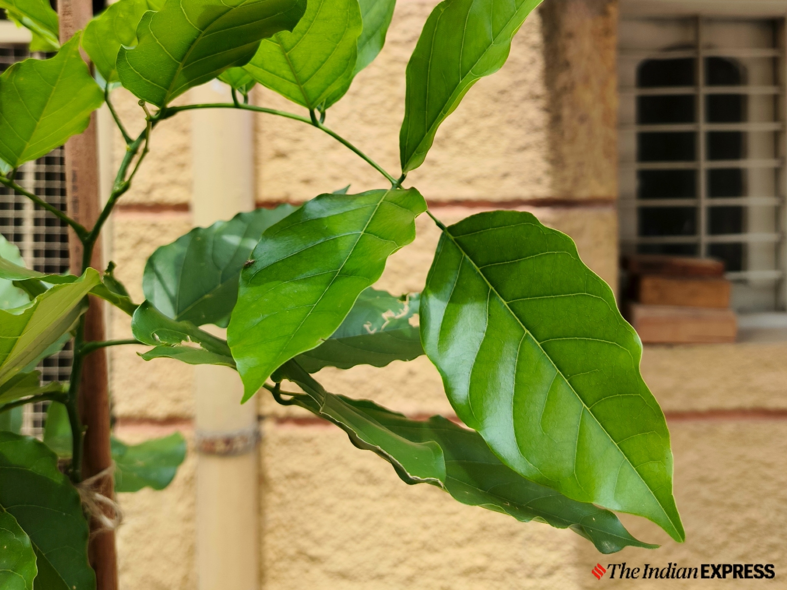 Infinix GT 20 Pro camera sample
