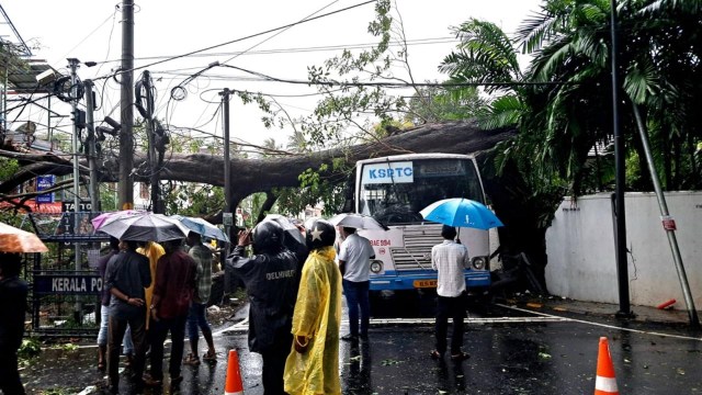 kerala rains