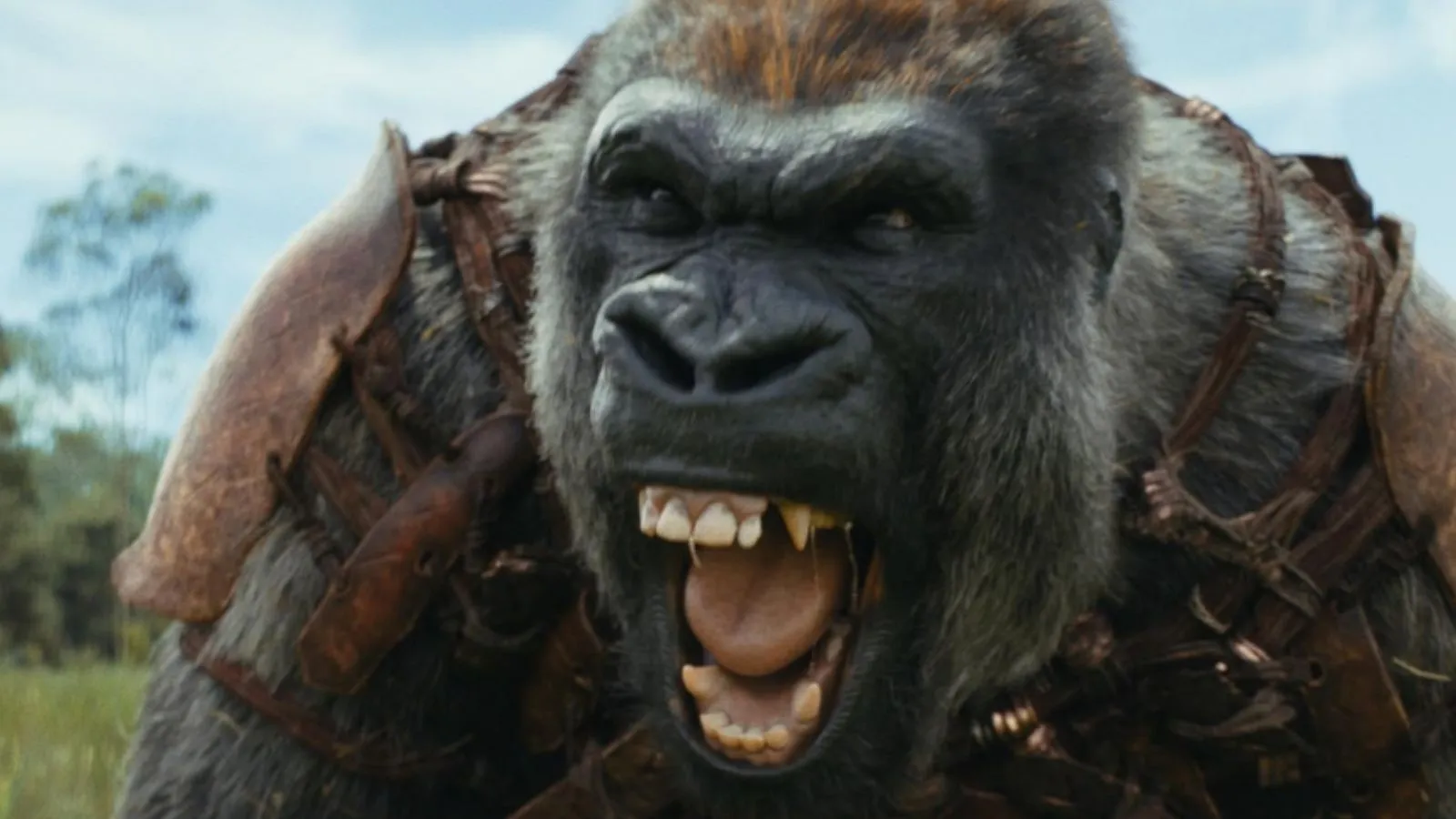 Kingdom of the of the Apes movie review Unceasingly grim film