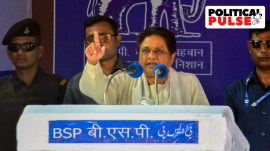 mayawati
