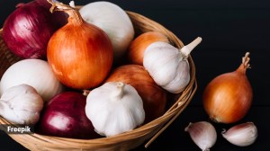 no onion, no garlic diet