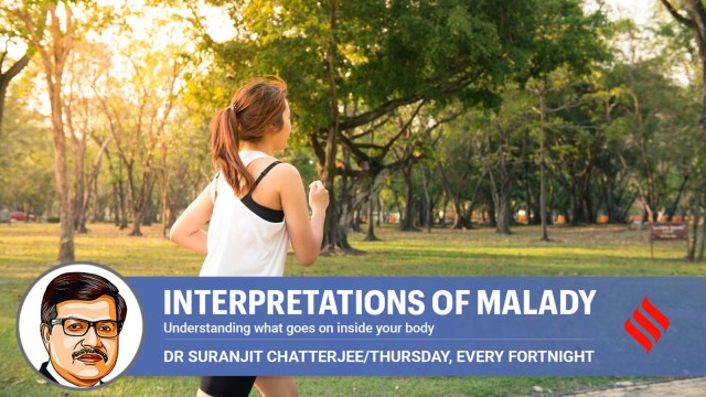 heatstroke prevention, outdoors, health and wellness, indian express