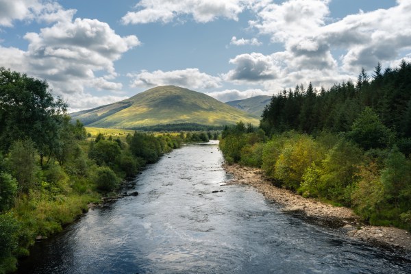 From the famously known Nile to the Congo River, these top 10 longest rivers globally. (Freepik)