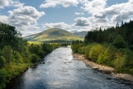 From the famously known Nile to the Congo River, these top 10 longest rivers globally. (Freepik)