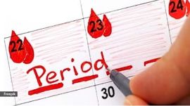 sikkim menstral leave menstrual leave
