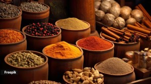 spices, India