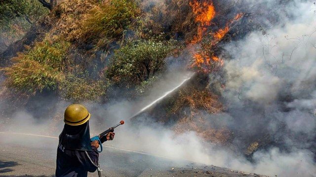 uttarakhand forest fire