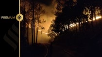 Dousing a forest fire in Uttarakhand: A team of 11, 10 hours and an exploding pine cone