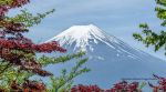 Town officials block Mount Fuji's view