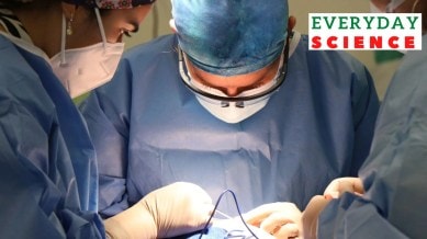 Representatinal/xenotransplantation.