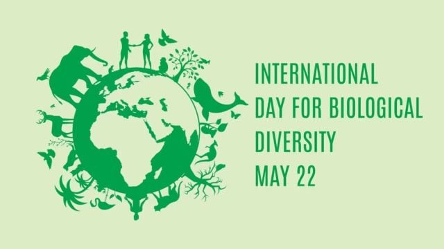 International Biodiversity Day 2024