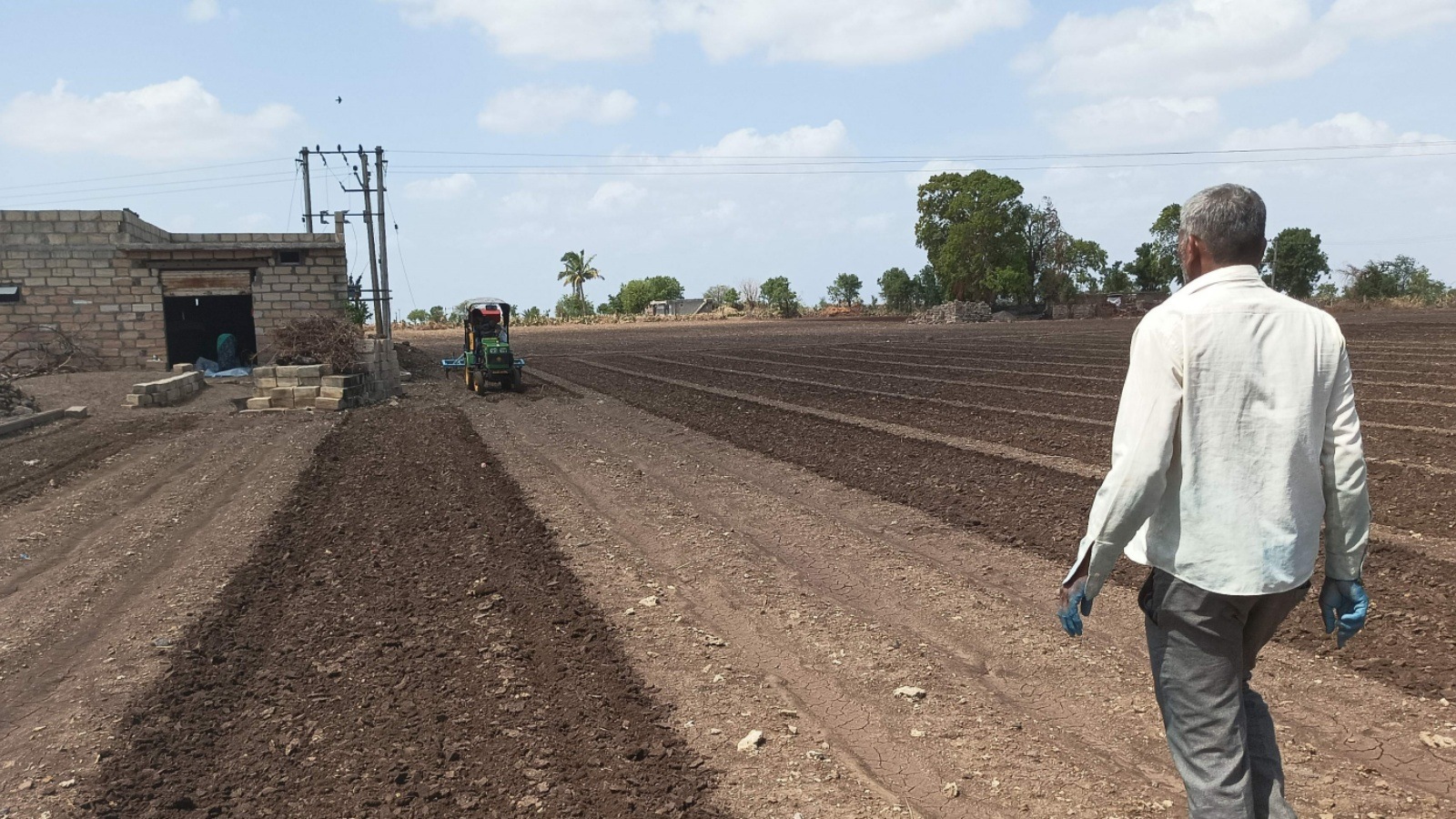A farmer looks on as a mini tractor sows groundnut on his field in Kharachiya village of Rajkot on June 13, 2024. . (Express Photo by Gopal Kateshiya)