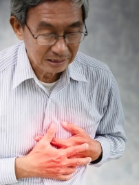 Medical experts assess ginger's role in heart attack treatment