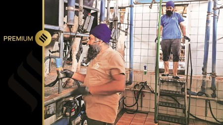 Sikh workers at a dairy farm at Calabria in Italy. (Picture credit: Alessandra Corrado)