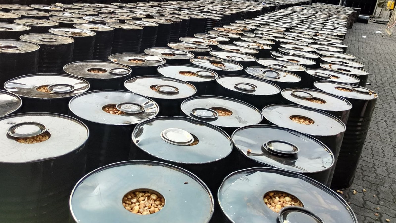 Custom authorities at Jawaharlal Nehru Custom House (JNCH), Nhava Sheva have seized 112.14 metric tons (MTs) of Areca Nuts worth 5.7cr.