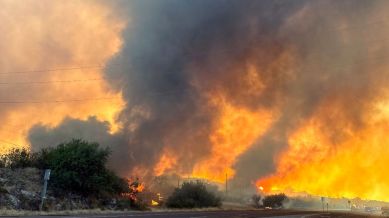 Arizona Fire