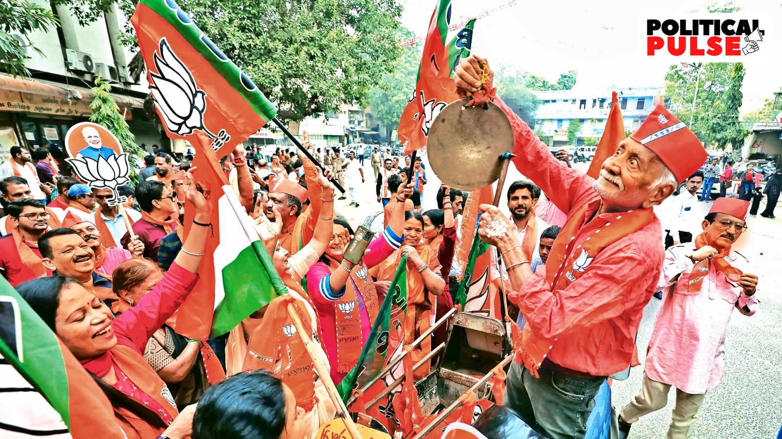 It Is Not Just Allies, BJP Faces New Equations Within | Political Pulse ...