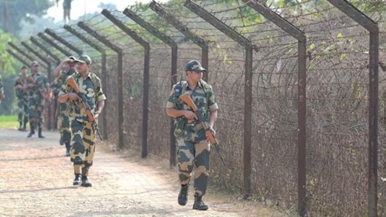 BSF foils cattle smuggling bid | Kolkata News