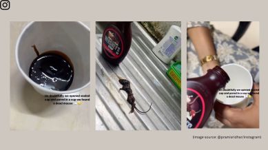 Family finds dead mouse in Hershey syrup ordered from Zepto