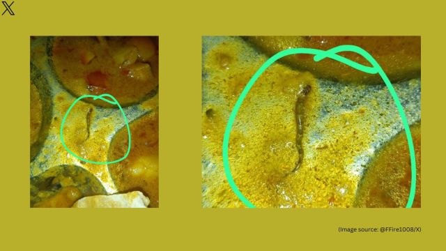 Bihar's college student find dead snake in their mess food