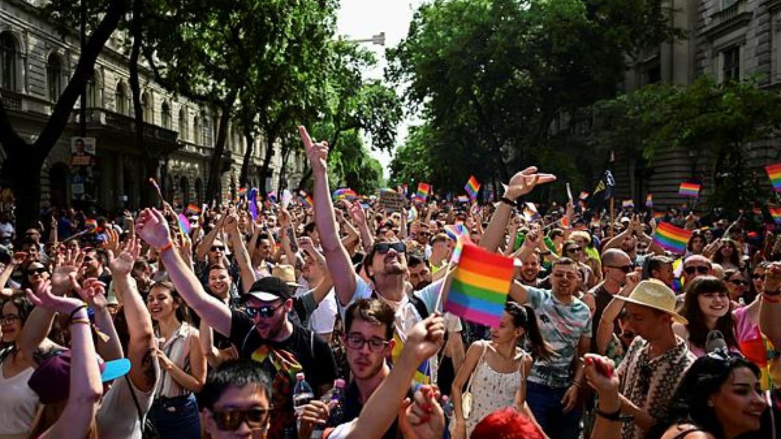 Thousands march in Paris Pride ahead of elections | World News - The ...