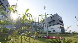 A significant portion (33.51 per cent) comprises fresh graduates and nearly 40 per cent having more than a year of professional engagement