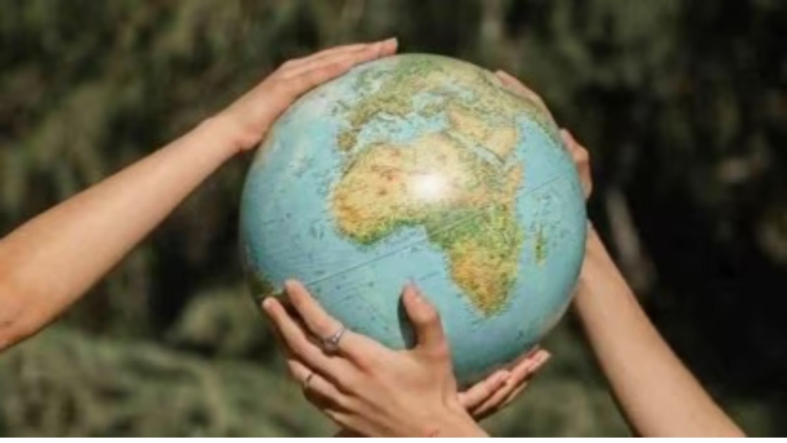 The logic behind insurance is that many people sign up, but only a few suffer losses and receive compensation. If a growing number of people are hit by losses, however, insurance companies will pass on the risk and increase premiums for insurance holders.