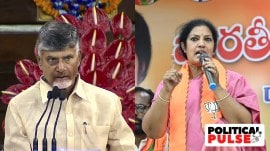 TDP chief N Chandrababu Naidu and Andhra Pradesh BJP president Dr Daggubati Purandeswari who is also Naidu’s sister-in-law.