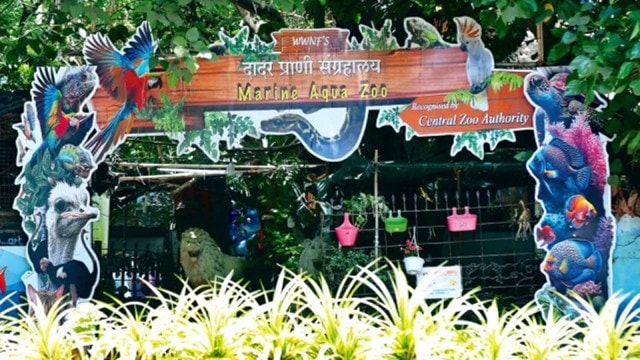 2 held for capturing, displaying protected animals at Dadar zoo ...