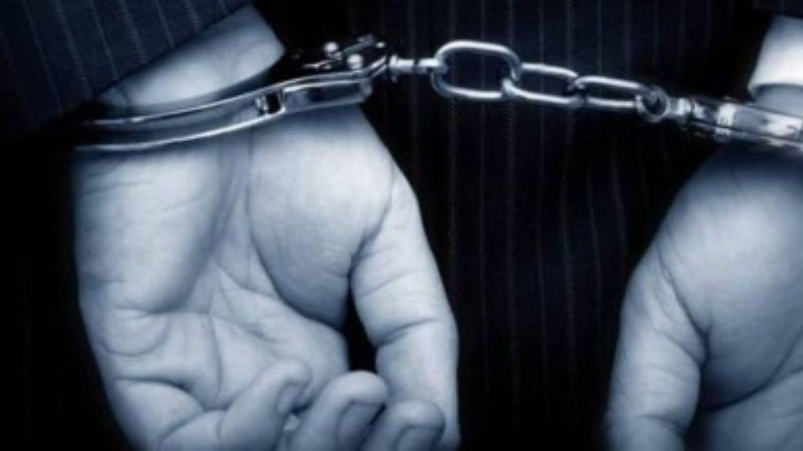 Danish investigators , Russian citizen detained , Suspected foreign intelligence service operative, Denmark authorities