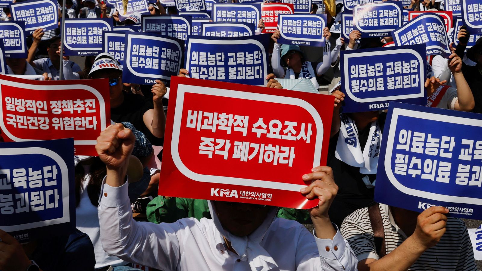South Korea, Doctor's protest