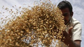 Nirmala Sitharaman, pre-budget meet, Reimburse GST to farmers, GST, Goods and Services tax (GST), farmers gst, Indian express business, business news, business articles, business news stories