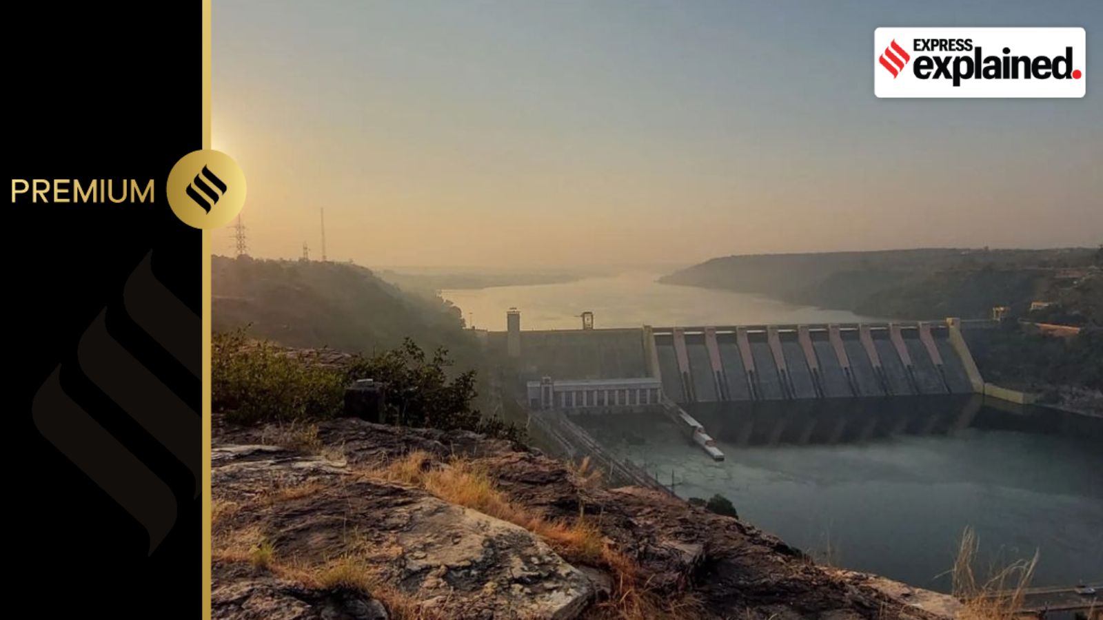 GandhiSagar, described as a perfect habitat for cheetahs