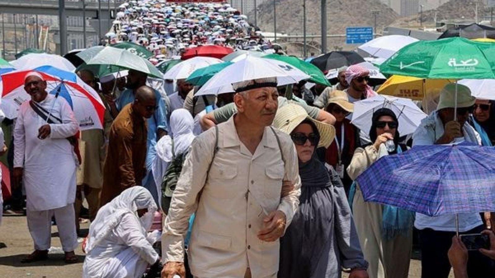 Climate change fuelled extreme heat that killed hundreds of Haj ...