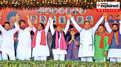 Akhilesh Yadav, Tejashwi Prasad Yadav, Tejashwi Yadav, social coalitions, party social coalitions, party coalitions, Lok Sabha Elections 2024, exit polls, Indian express explained, explained news, explained articles