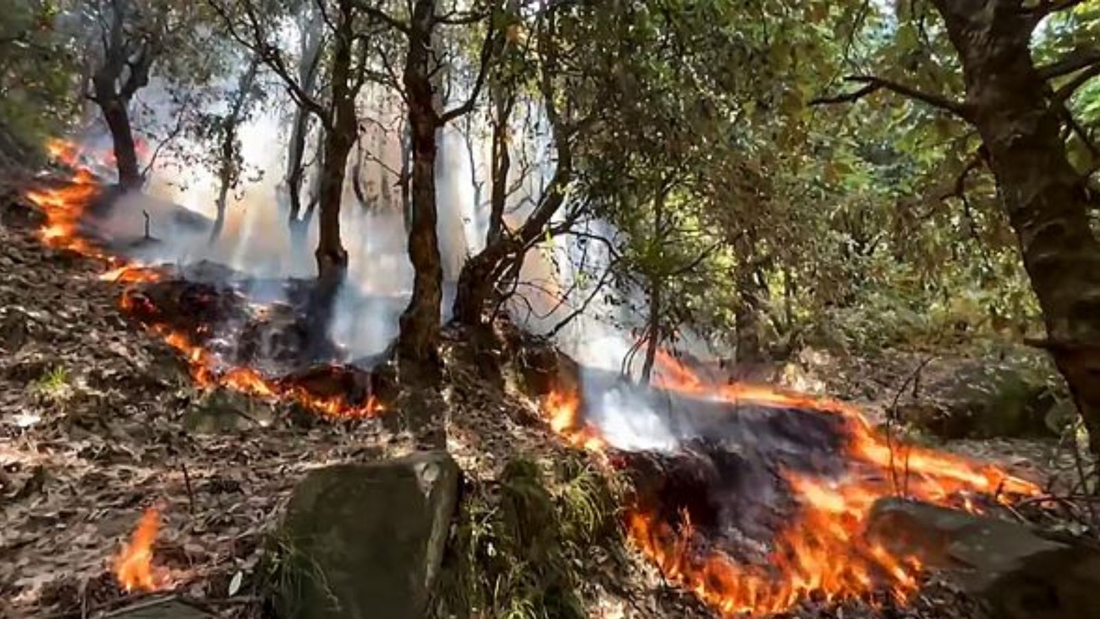 Exchange of fire reported along LoC in J-K’s Poonch | India News - The ...