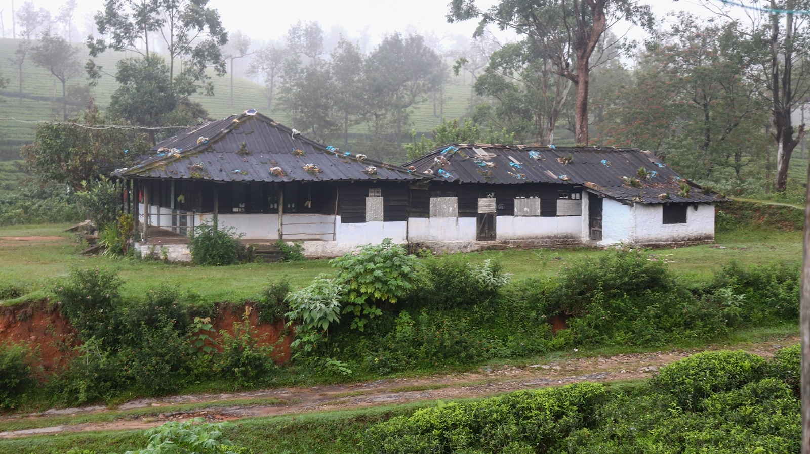 Manjolai 