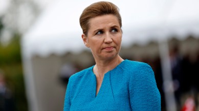 Denmark PM hit by a man.