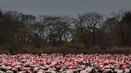 Monsoon rains cause chaos in Mumbai in it’s first season downpour
