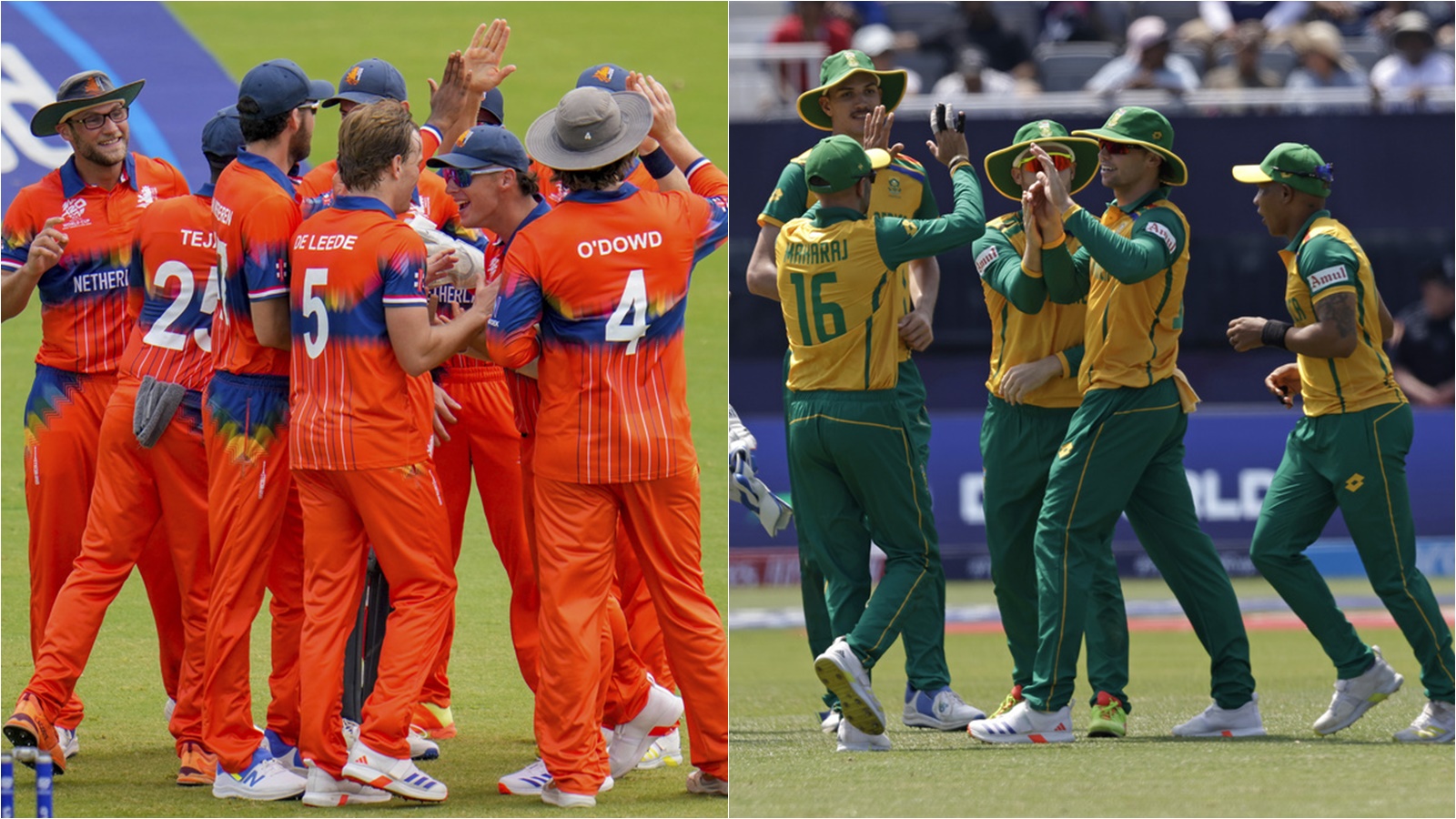 NED vs SA 2024, T20 World Cup 2024 Live Streaming: When and where to watch Netherlands vs South Africa Live?