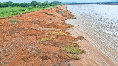 Vadodara, narmada, Narmada river, Statue of Unity, woman dragged off by crocodile, Ahmedabad news, Gujarat news, India news, Indian express, Indian express India news, Indian express India