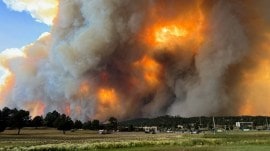 US President Joe Biden on New Mexico Fire