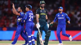 Glenn Maxwell could replicate his Wankhede heroics to take Australia over the line against Afghanistan on Sunday. (ICC)