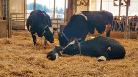 The aim is to reduce Danish greenhouse gas emissions by 70 per cent from 1990 levels by 2030, said Taxation Minister Jeppe Bruus.