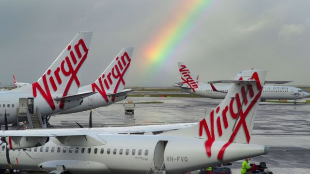 The rate of birds striking planes at New Zealand’s airports is about four in every 10,000 aircraft movements, the country’s aviation regulator says on its website. (Reuters)
