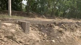 Punjab canal water The AAP government’s promise to provide canal water in the tail ends had rekindled his hopes. (Express Photo)