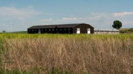 Satnam Singh was injured on Monday while working on a farm in Latina, a rural area south of Rome, home to tens of thousands of Indian migrant workers. (File)