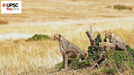 UPSC Key | Gandhi Sagar Wildlife Sanctuary, National Litigation Policy, swiss meet, Sher Mandal and more